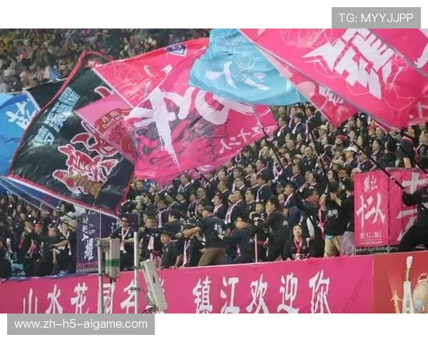 盐城主场 2-0 力克镇江！31833 名球迷见证苏超榜首之争