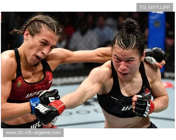 UFC 初学者指南：规则、量级与明星选手_20260526125609